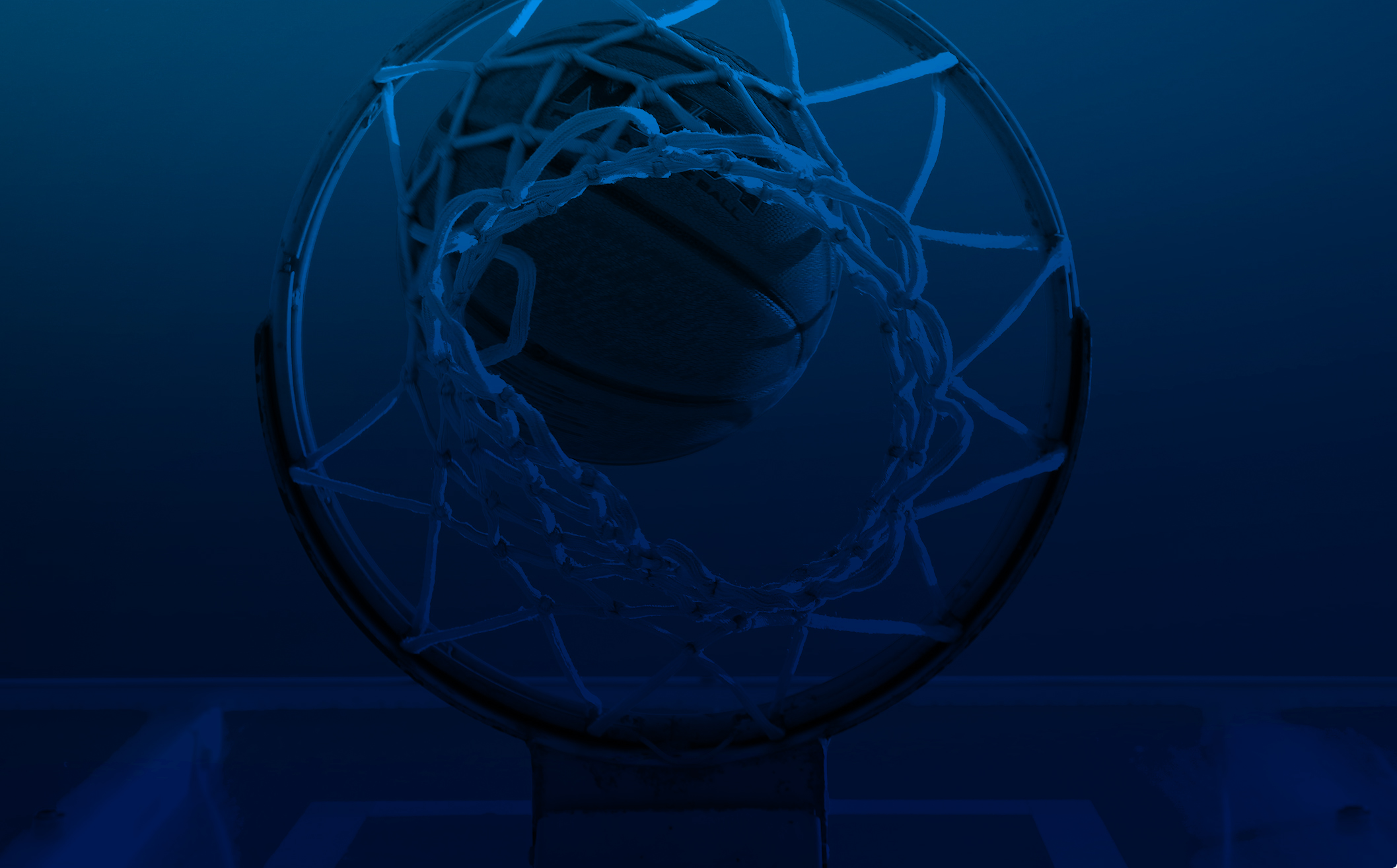 Bannière Ligue Auvergne-Rhône-Alpes de Basket-Ball