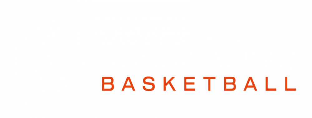 Logo Ligue Auvergne-Rhône-Alpes de Basket-Ball